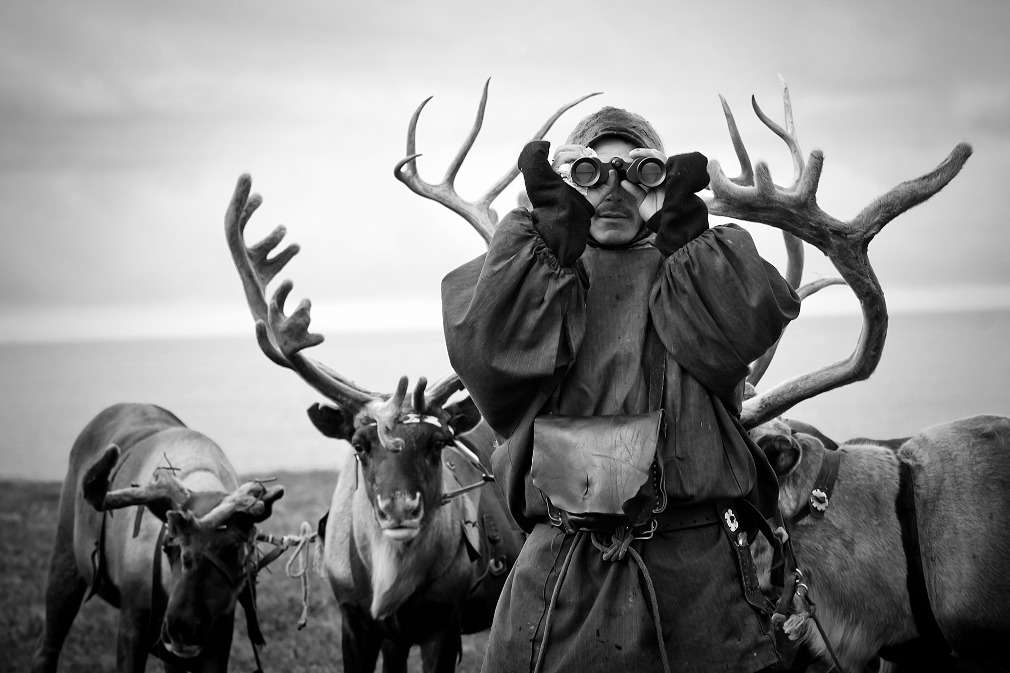 KSHMR Reindeer Herder Photo